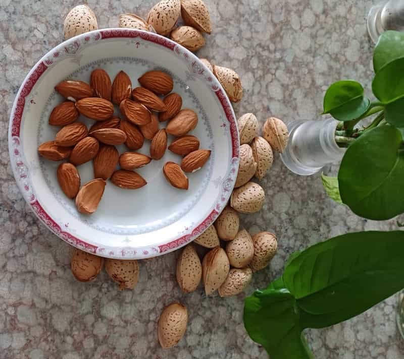 فروش عمده بادام درختی + شرایط ویژه